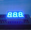 0.36 숫자적인 발광 다이오드 표시, 파랑 3 dight 7 세그먼트에 의하여 지도된 전시 80mcd - 100mcd를 조금씩 움직이십시오