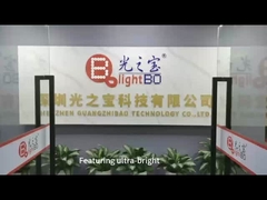 속도 표시기용 맞춤형 2자리 둥근 LED 디스플레이